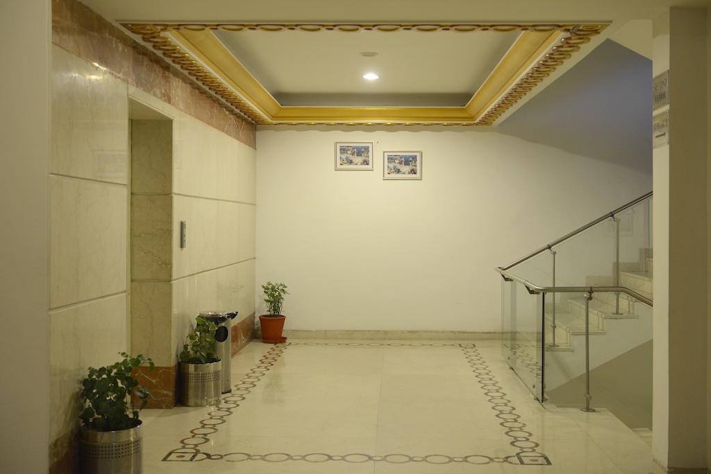 Amer Greens Dip المظهر الخارجي الصورة